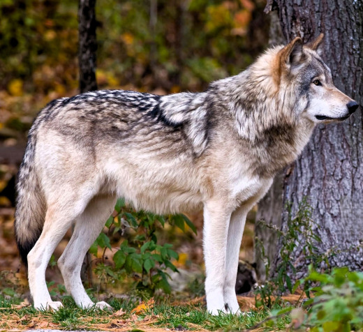 1755906 (a): :1920x1754